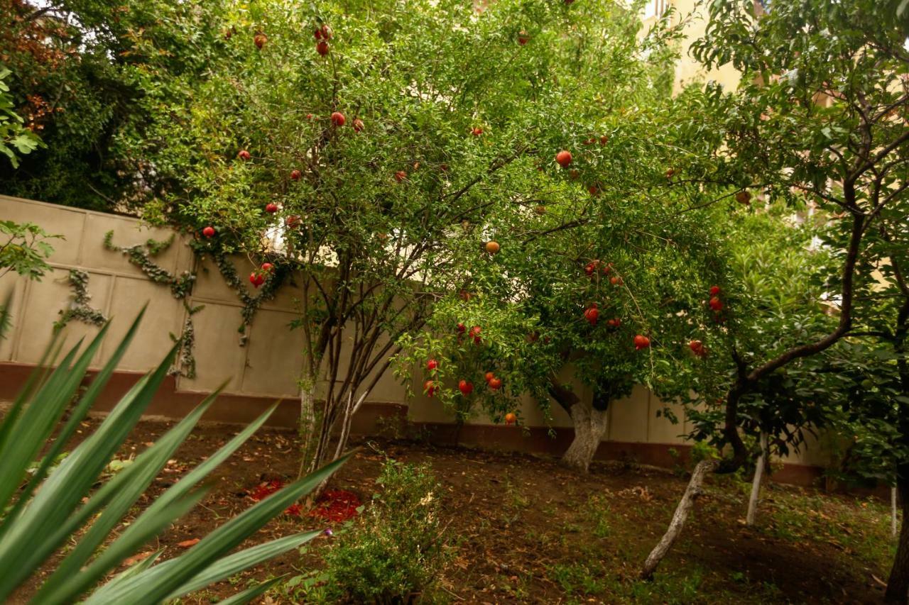 Yacobs Grape Garden Tbilisi Luaran gambar